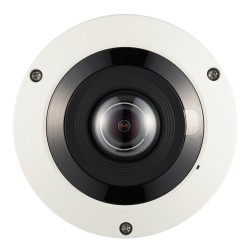 PNF-9010RVM, 4K Balık gözü Ağ Kamerası