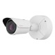 PNO-A9092R, 4K, Yapay Zekalı, Uzak Mesafe Ağ Kamerası