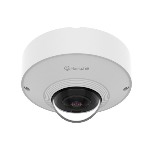 QNF-C9010V, 12MP Yapay Zekalı Balık Gözü Ağ Kamerası